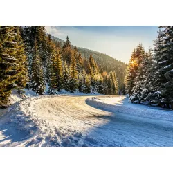 Fototapeta Zimowy Las – Leśna Cisza i Śnieżna Panorama