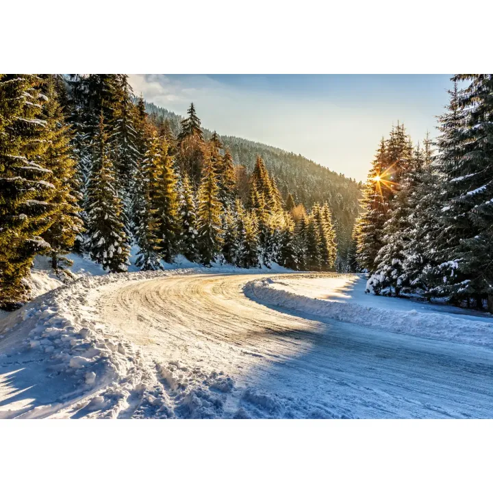 Fototapeta Zimowy Las – Leśna Cisza i Śnieżna Panorama – produkt