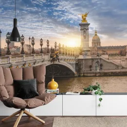 Fototapeta Paryż – Pont Alexandre III i Panorama Sekwany