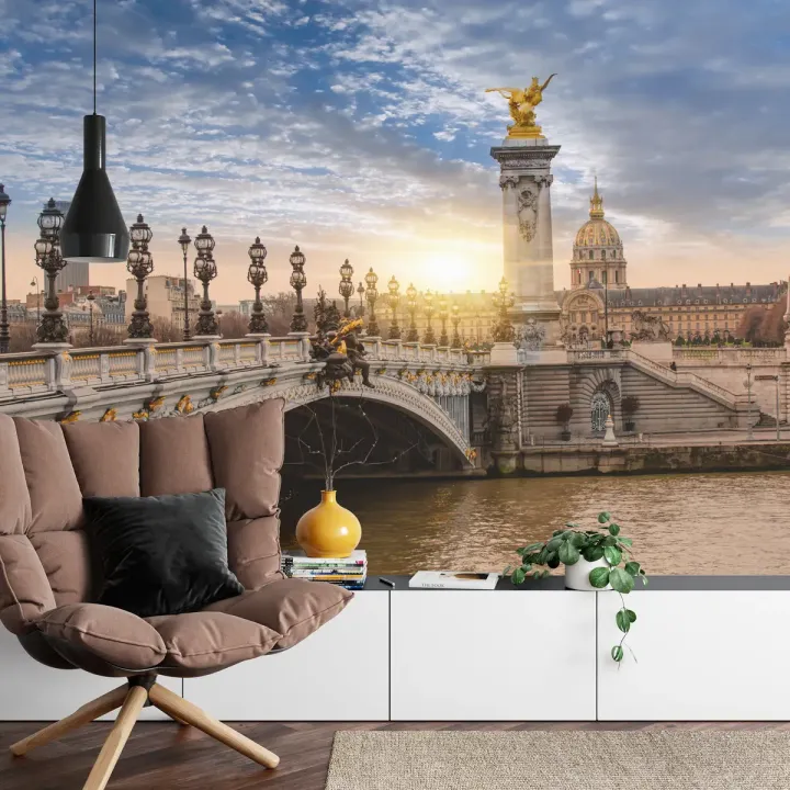 Fototapeta Paryż – Pont Alexandre III i Panorama Sekwany