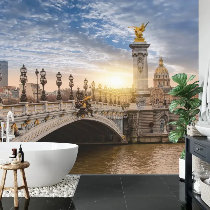 Fototapeta Paryż – Pont Alexandre III i Panorama Sekwany