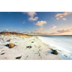 Fototapeta Plaża Morze Wydmy – Nadmorski Krajobraz Pełen Spokoju