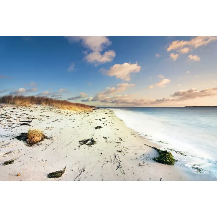Fototapeta Plaża Morze Wydmy – Nadmorski Krajobraz Pełen Spokoju – produkt