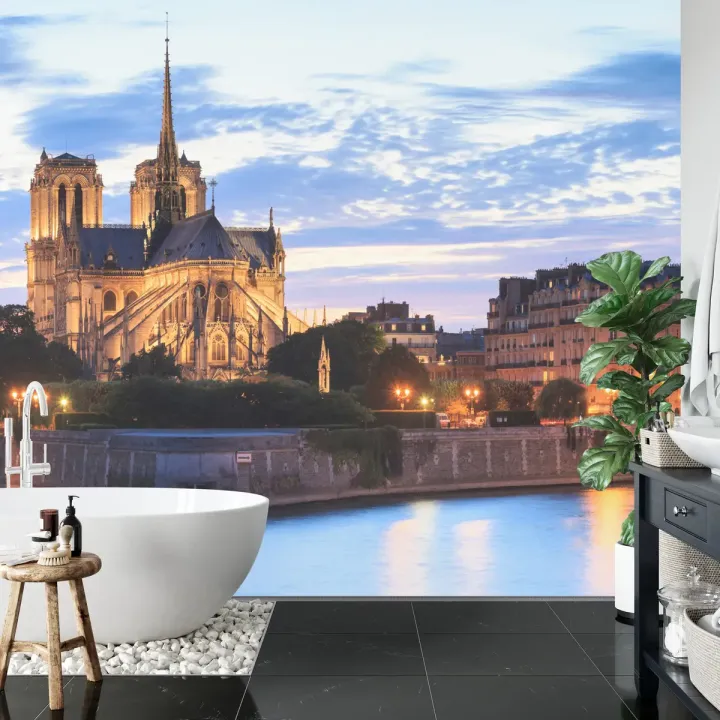 Fototapeta Paryż – Notre Dame nad Sekwaną