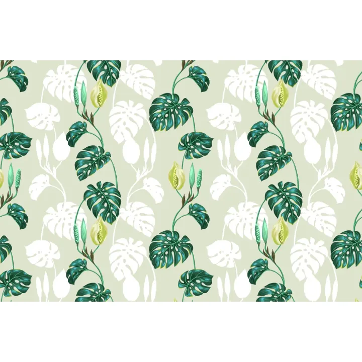 Fototapeta Liście Monstera – Tropikalna Roślinność do Wnętrz – produkt
