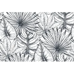 Fototapeta Liście Monstera – Tropikalny Motyw Botaniczny