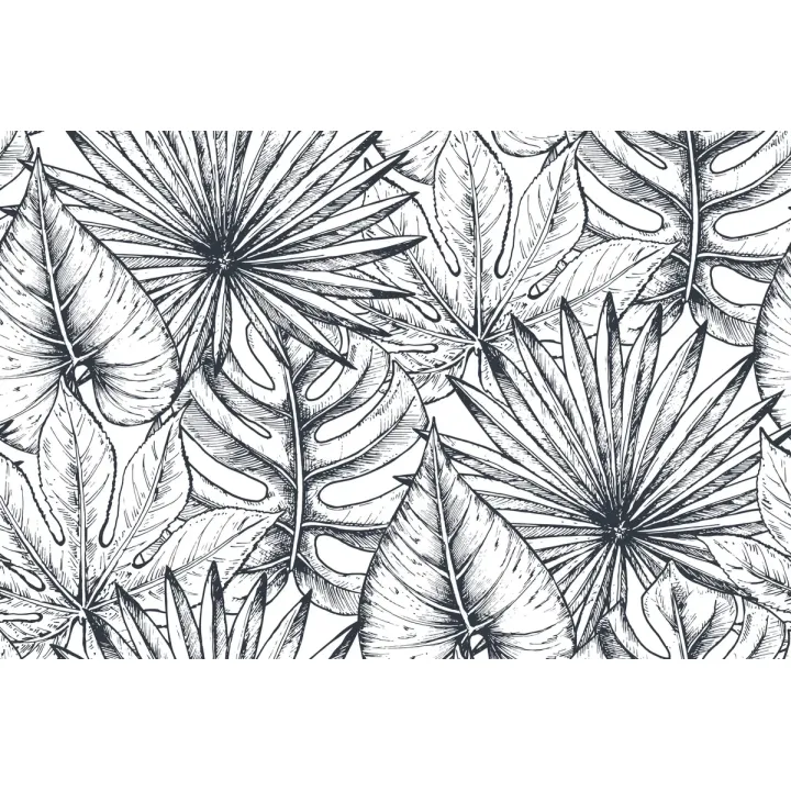 Fototapeta Liście Monstera – Tropikalny Motyw Botaniczny – produkt
