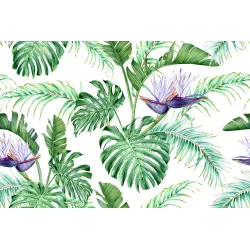 Fototapeta Liście Monstera – Tropikalna Dżungla w Twoim Wnętrzu