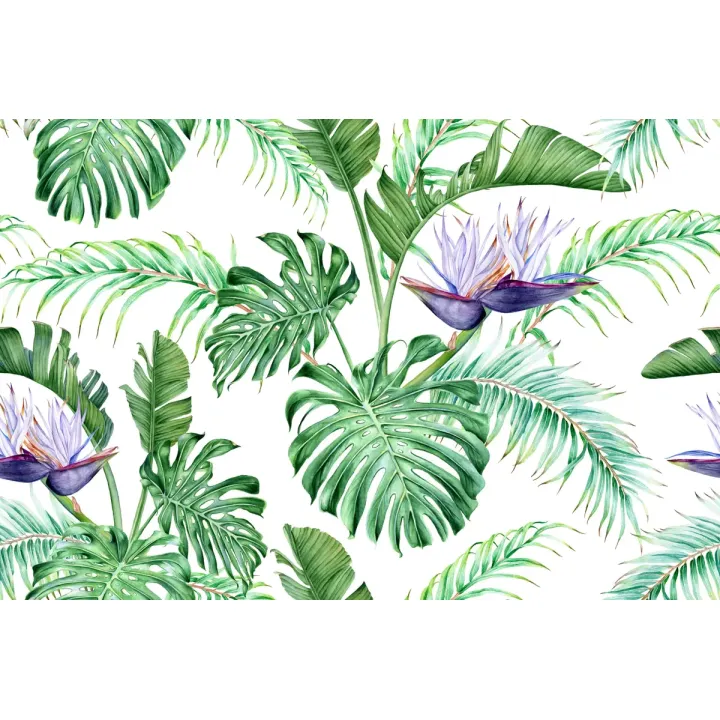 Fototapeta Liście Monstera – Tropikalna Dżungla w Twoim Wnętrzu – produkt