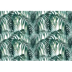 Fototapeta Liście Palmowe – Tropikalna Dżungla i Rajski Ogród