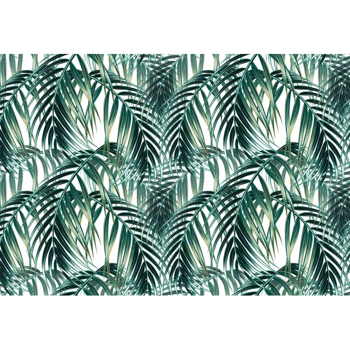 Fototapeta Liście Palmowe – Tropikalna Dżungla i Rajski Ogród – produkt