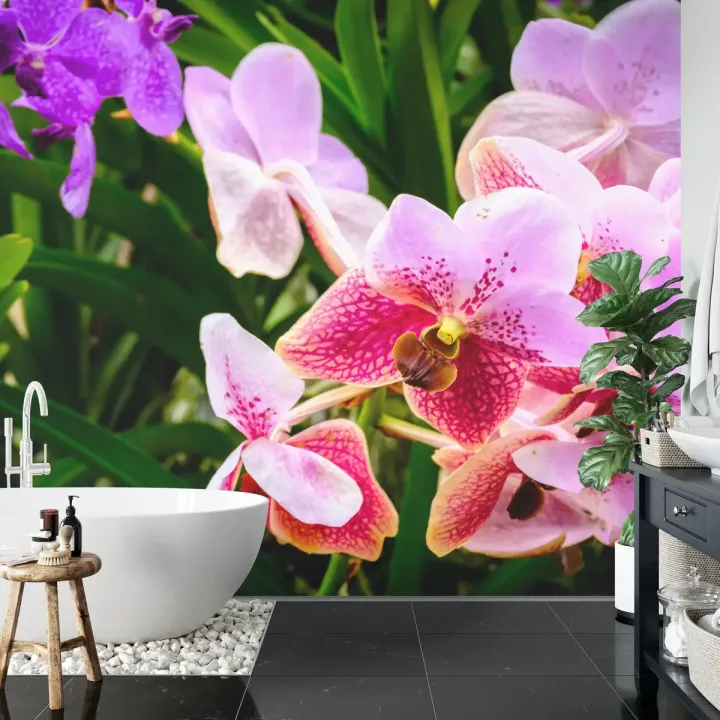 Fototapeta Kolorowe Orchidee 3D – Egzotyczny Ogród Pełen Kwiatów