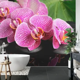 Fototapeta Orchidea Spa – Relaks wśród Kwiatów i Zieleni