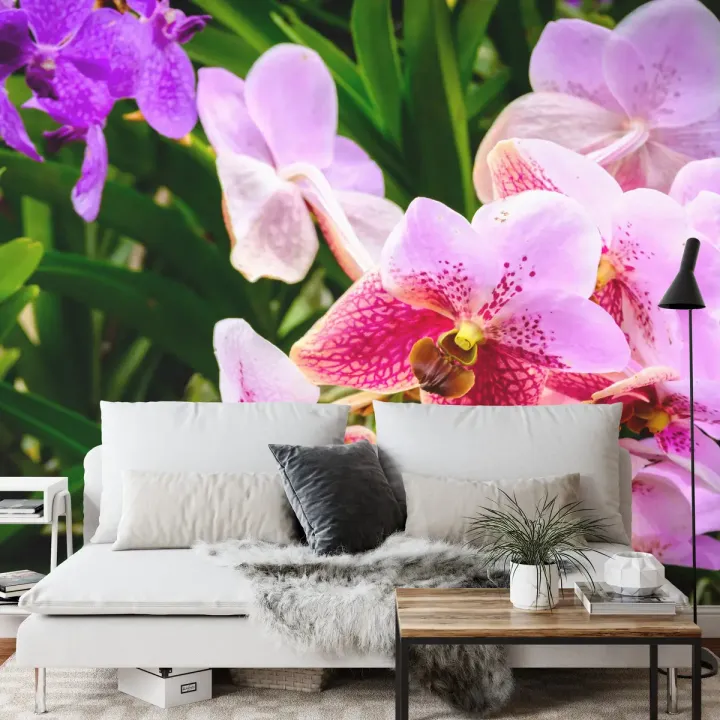 Fototapeta Kolorowe Orchidee 3D – Egzotyczny Ogród Pełen Kwiatów
