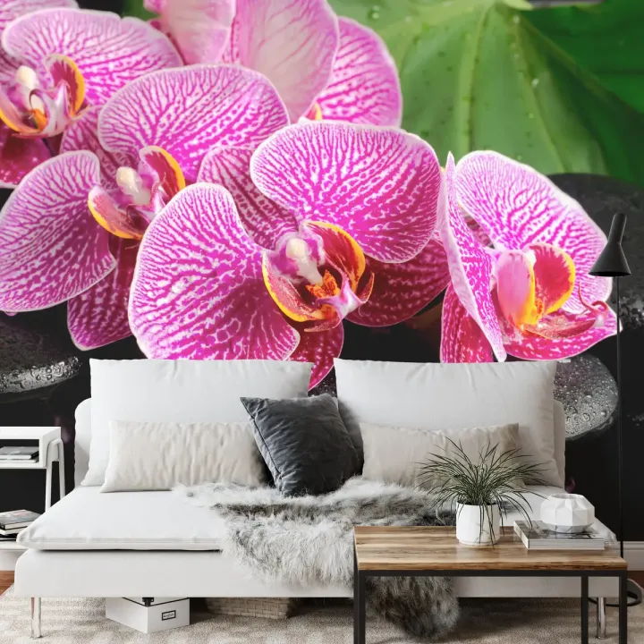 Fototapeta Orchidea Spa – Relaks wśród Kwiatów i Zieleni