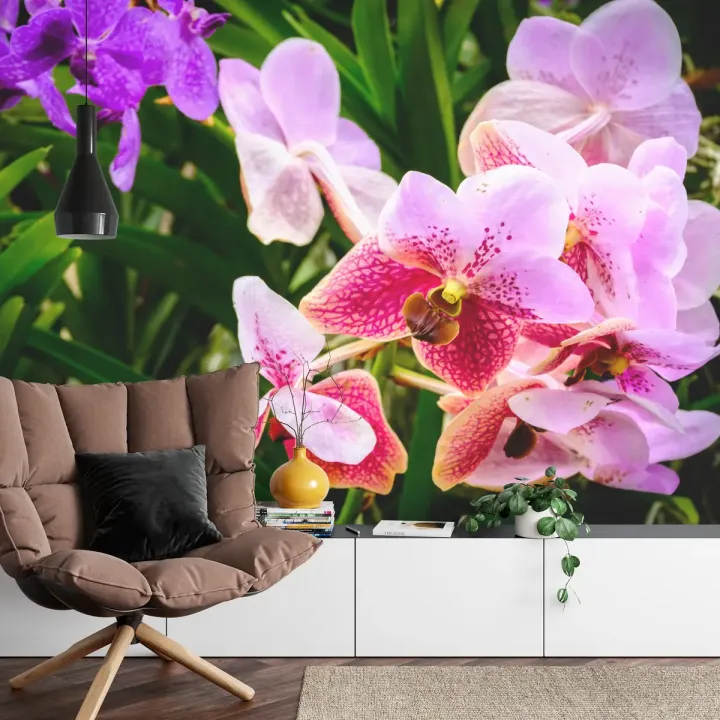 Fototapeta Kolorowe Orchidee 3D – Egzotyczny Ogród Pełen Kwiatów