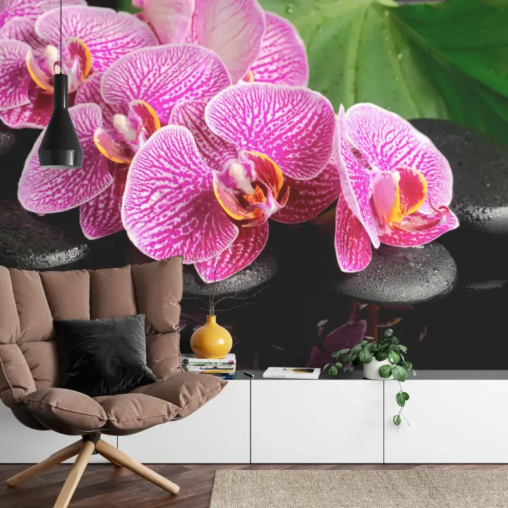 Fototapeta Orchidea Spa – Relaks wśród Kwiatów i Zieleni