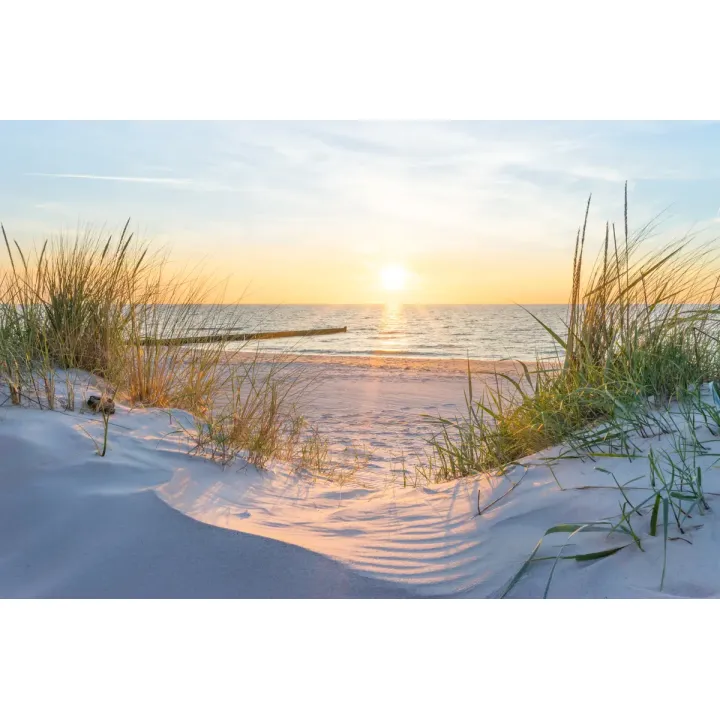 Fototapeta Plaża Morze – Nadmorski Krajobraz z Wydmami – produkt