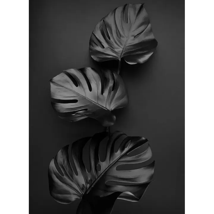 Plakat Błyszczące Ciemne Liście – Abstrakcyjna Roślinność w Monochromatycznym Stylu – produkt