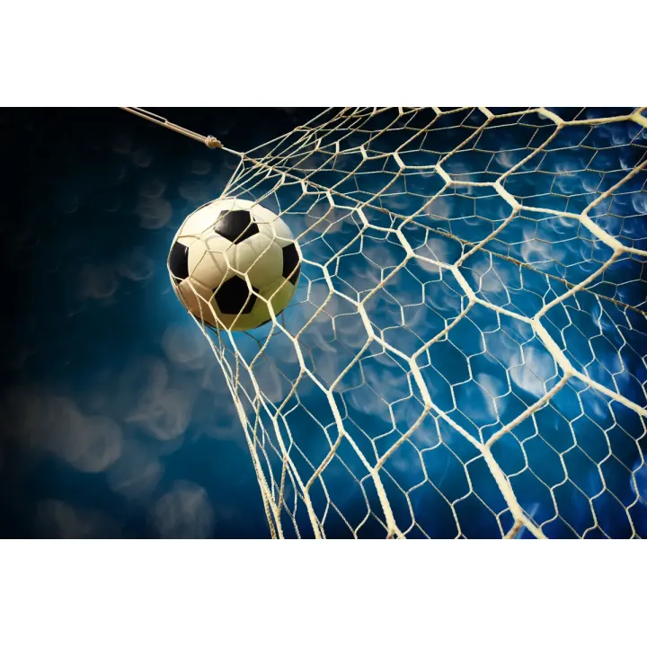Fototapeta Sport – Piłka Nożna i Dynamika Stadionu – produkt