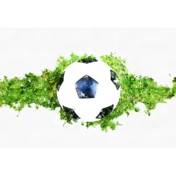 Fototapeta Piłka Nożna – Dynamika Gry na Zielonym Boisku