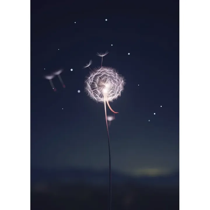 Plakat Mniszek Lekarski – Nocne Niebo Pełne Spokoju – produkt
