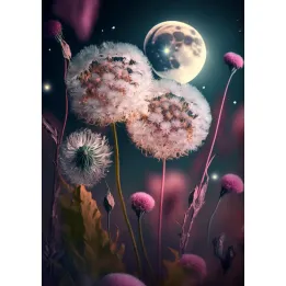 Plakat Dmuchawce – Nocne Niebo z Księżycem i Gwiazdami – produkt