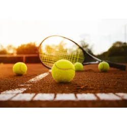 Fototapeta Rakieta Tenisowa Na Boisku – Sportowa Rywalizacja na Kortach