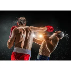 Fototapeta Walka Bokserów – Sportowa Energia i Dynamika