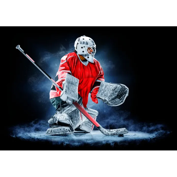 Fototapeta Bramkarz Hokejowy – Sportowa Pasja na Lodowisku – produkt