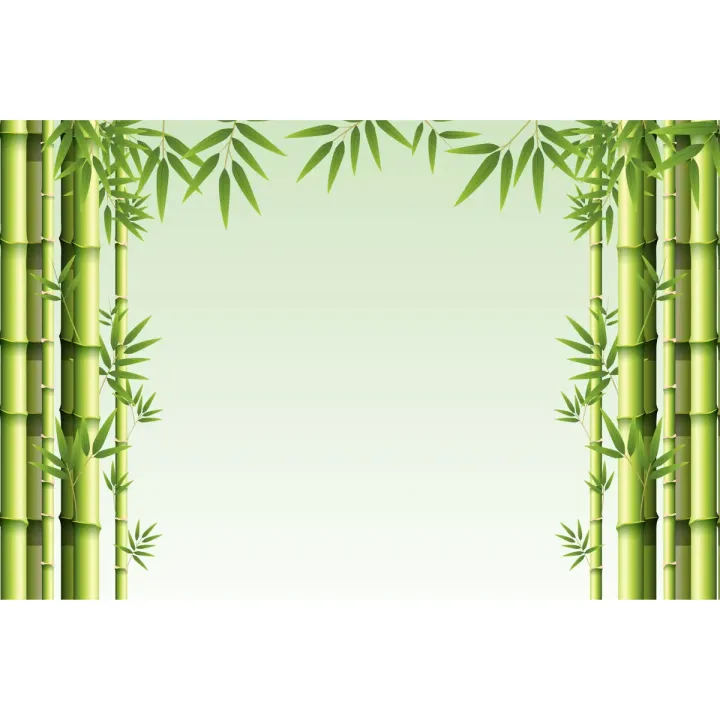 Fototapeta Bambusowy Las – Zielona Natura i Leśna Cisza – produkt