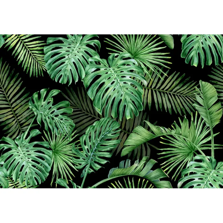 Fototapeta Liście Monstera – Tropikalna Zieleń do Wnętrz – produkt