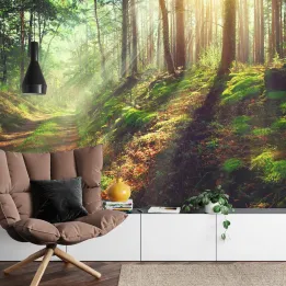 Fototapeta Las – Leśna Cisza i Zielona Natura do Wnętrz