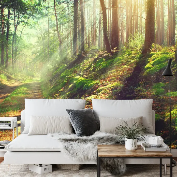 Fototapeta Las – Leśna Cisza i Zielona Natura do Wnętrz