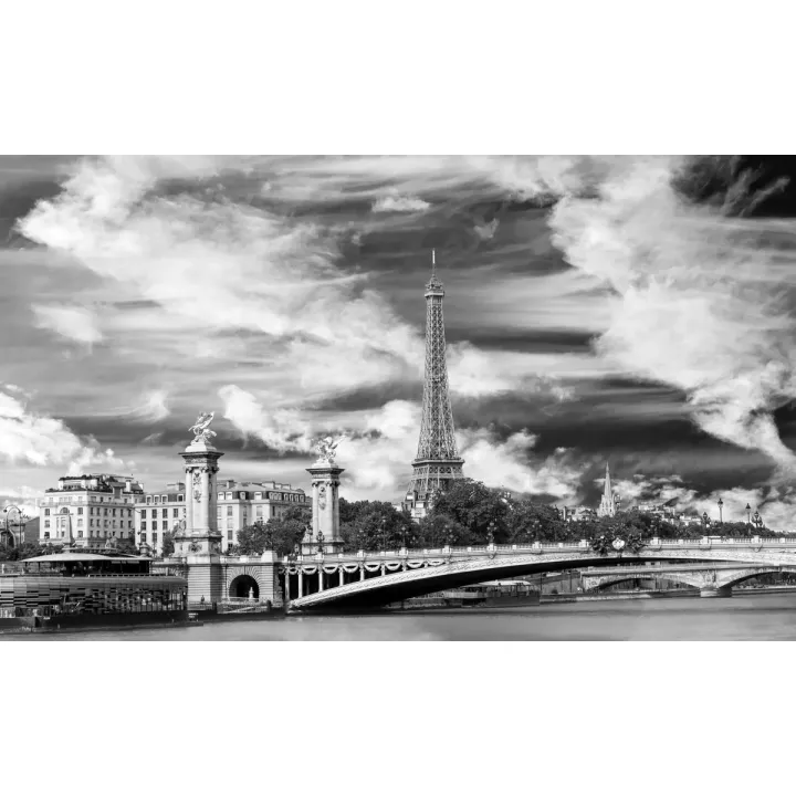 Fototapeta Paryż Czarno-Biała – Wieża Eiffla i Architektura Paryska – produkt