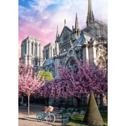 Plakat Katedra Notre Dame – Paryż o Wschodzie Słońca i Kwitnące Wiśnie – produkt