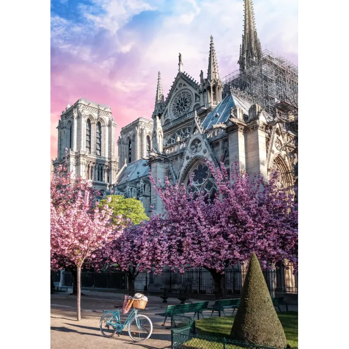 Plakat Katedra Notre Dame – Paryż o Wschodzie Słońca i Kwitnące Wiśnie – produkt