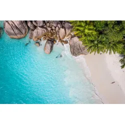 Fototapeta Plaża Ocean Palmy – Rajska Wyspa i Turkusowa Woda