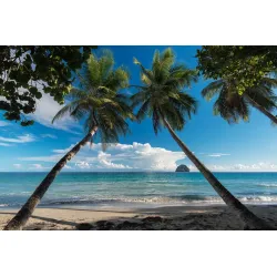Fototapeta Plaża Ocean Palmy – Tropikalny Krajobraz Nadmorski