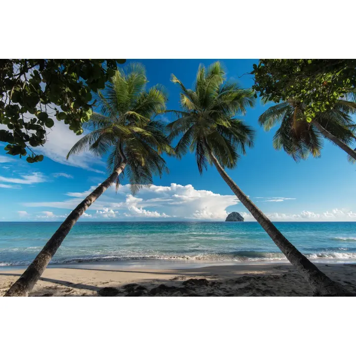 Fototapeta Plaża Ocean Palmy – Tropikalny Krajobraz Nadmorski – produkt