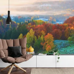Fototapeta Las – Mglisty Poranek Pełen Spokoju