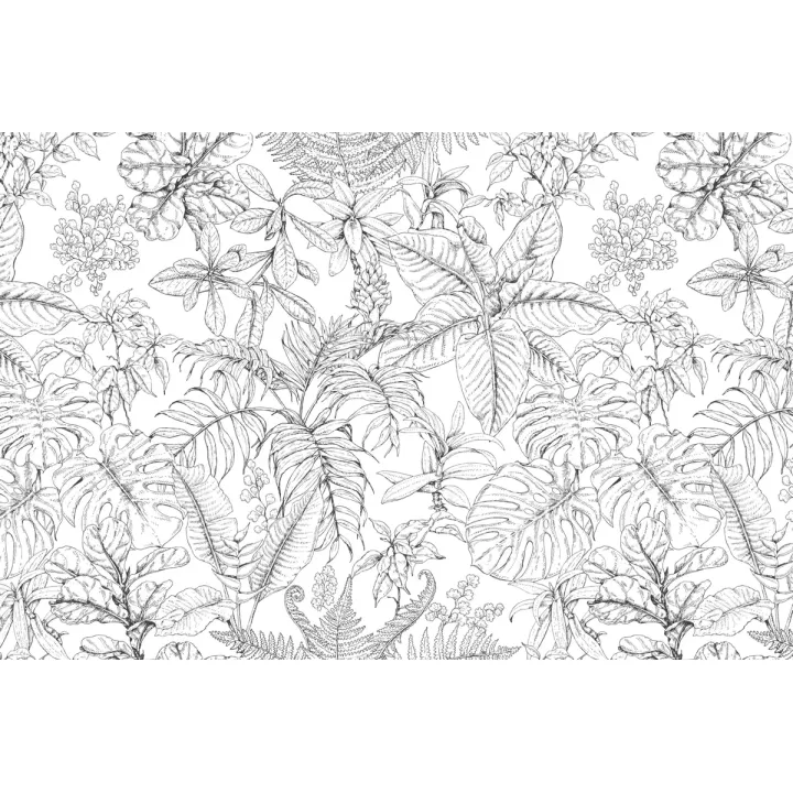 Fototapeta Liście Natura – Tropikalna Roślinność i Egzotyka – produkt