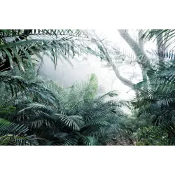 Fototapeta Las We Mgle – Leśna Cisza i Natura