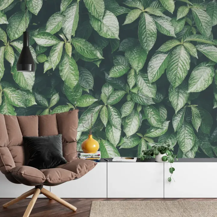 Fototapeta Liście Natura – Tropikalna Roślinność do Wnętrz