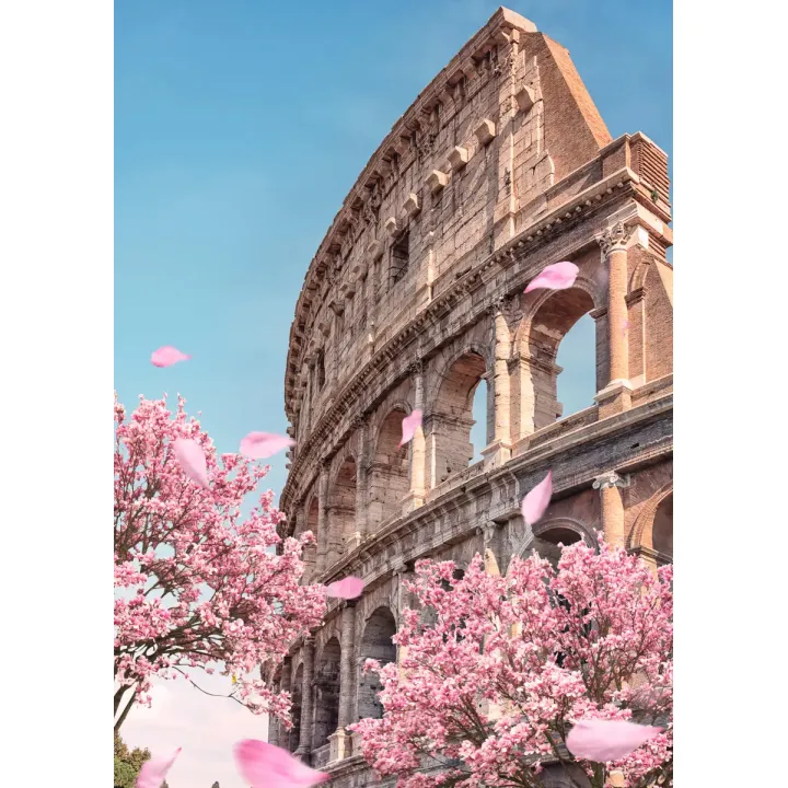 Plakat Koloseum w Rzymie Wiosną – Architektura Rzymska i Kwitnące Wiśnie – produkt