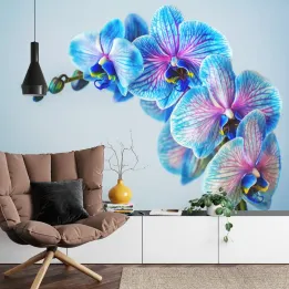 Fototapeta Kolorowy Storczyk – Orchidea w Odcieniach Fioletu i Błękitu