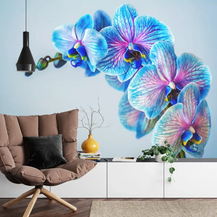 Fototapeta Kolorowy Storczyk – Orchidea w Odcieniach Fioletu i Błękitu