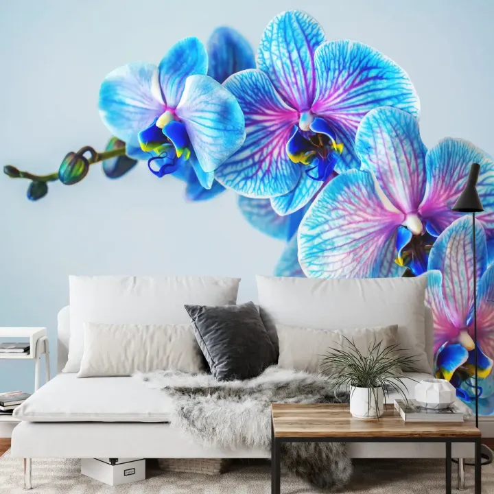 Fototapeta Kolorowy Storczyk – Orchidea w Odcieniach Fioletu i Błękitu