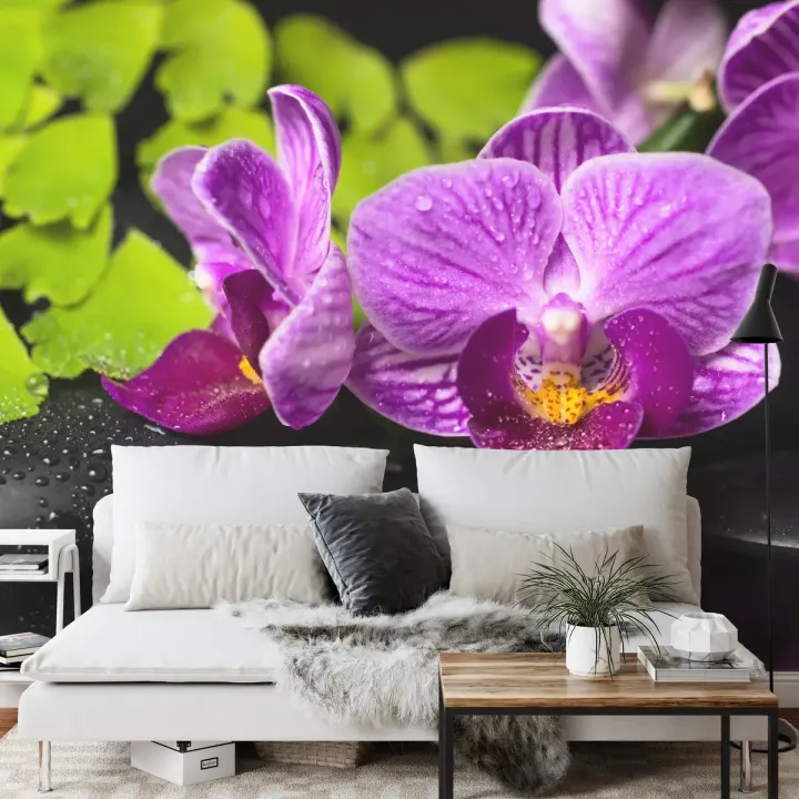 Fototapeta Orchidea Spa – Relaks w Otoczeniu Zieleni i Kamieni
