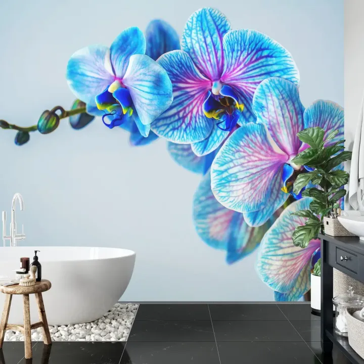 Fototapeta Kolorowy Storczyk – Orchidea w Odcieniach Fioletu i Błękitu